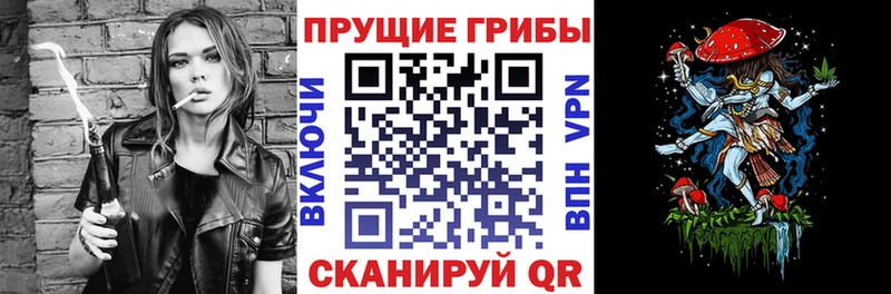 Псилоцибиновые грибы Magic Shrooms Катайск